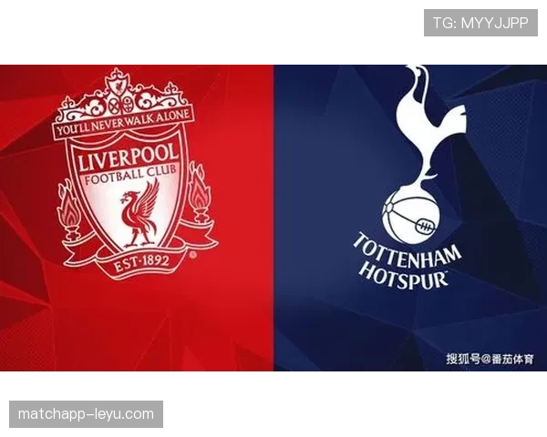 热刺球队结构深度解析：未来潜力值得期待