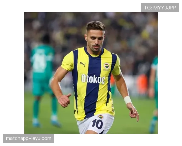 费内巴切比赛节奏 费内巴切比赛节奏